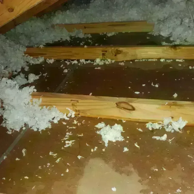 Attic Water Damage in Forrest City, AR