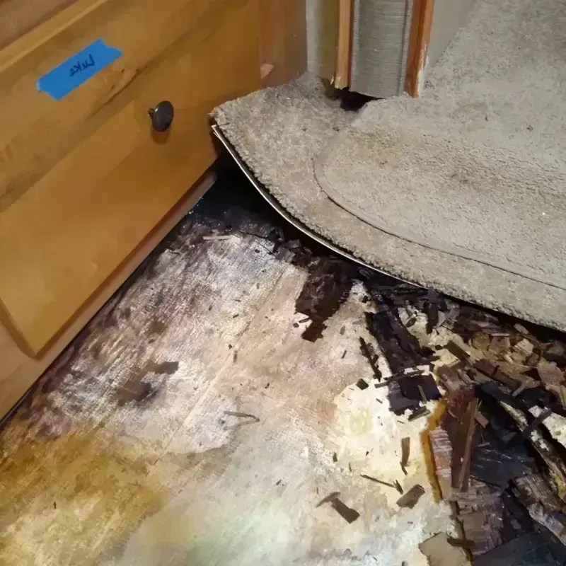 Wood Floor Water Damage in Forrest City, AR